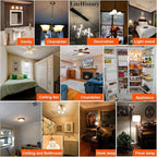 LiteHistory Dimmable E26 led Bulb 6W Equal 60 watt Vintage LED Edison Bulb AC120V 2700K A15 LED Bulb for Ceiling Fan Light Bulbs,Appliance Bulb and Refrigerator Light Bulb 600LM Clear Medium 6Pack