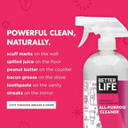 Better Life All Purpose Cleaner - Multipurpose Home and Kitchen Cleaning Spray for Glass, Countertops, Appliances, Upholstery- Multi-surface Spray Cleaner - Currant and Citrus, 32oz (Pack of 2)