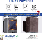 2 Pack Solar Outdoor Wall Lights with 3-Mode Motion Sensor Outside Sconces Up Down Solar Porch Light Fixtures 3000K 500LM Dusk to Dawn Modern Exterior Wall Lamp for House Garage Front Door