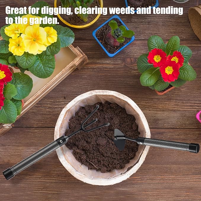 Garden Tool Set with Extended Long Handle, 5 Pieces Stainless Steel Gardening Tool Kit, Gifts for Parents and Kids Including Trowels, Hand rake, Weeder, Pruning Shears for Weeding Planting