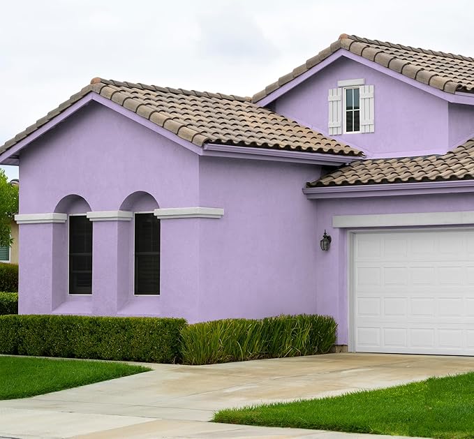 EVOLVE Paint & Primer: Environment-friendly, Low Sheen with One-coat Coverage for Interior & Exterior surfaces (Soft Violet, 1-Gallon)