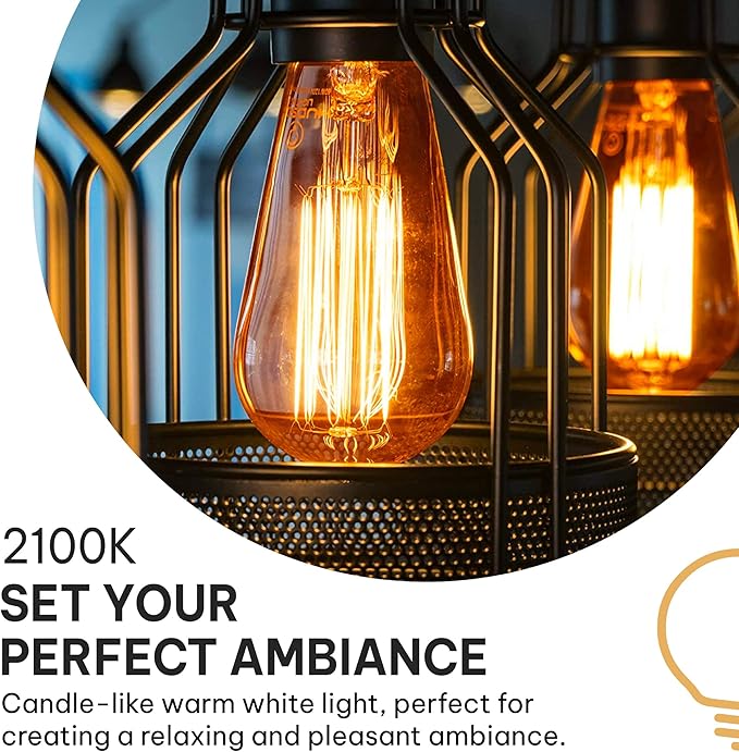 Vintage Edison Incandescent 60W Light Bulbs (6 Pack) - E26/E27 Base, 2100K Dimmable Decorative ST64 Antique Squirrel Filament Amber Warm Bulb for Indoor & Outdoor