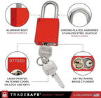 TRADESAFE Lockout Tagout Locks Set - 10 Red Aluminum Loto Locks, Lock Out Tag Out Padlocks Keyed Alike, 2 Keys Per Lockout Padlock, OSHA Compliant