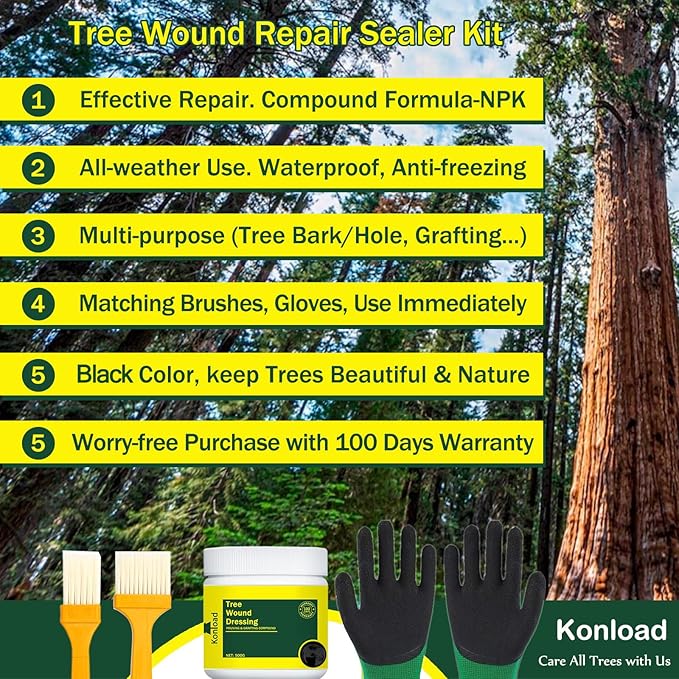 Tree Pruning Sealer with Brushes/Gloves, 500G Tree Wound Dressing Ready-to-Use Tree Protective Seal for Trees, Shrubs, Roses