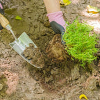 Berry&Bird Stainless Steel Trowel, Garden Small Flower Hand Shovel, Potting Soils Scoop with Wood Handle, Gardening Bonsai Tools for Transplanting Digging Weeding Planting