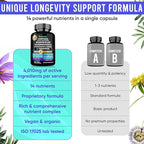 14-in-1 Cortisol Health Supplement with Ashwagandha, Magnesium Glycinate, Rhodiola, L-Theanine, Holy Basil & More. Cortisol Supplements for Women Support Stress Management & Stamina. 90 Capsules.