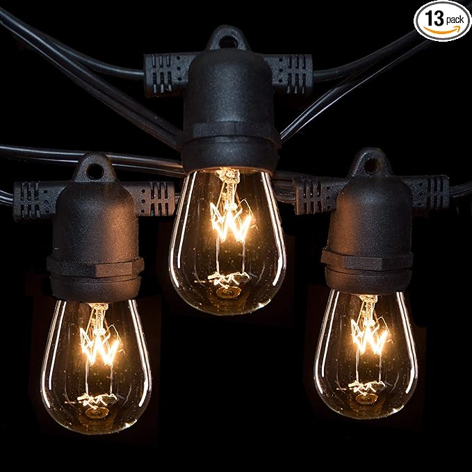 Hometown Evolution, Inc. Commercial E26 String Lights with 16 Gauge Wire (24 Foot 12 Socket, S14 11 Watt Clear Bulbs)