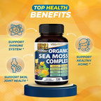 Organic Sea Moss 14,300mg with Bladderwrack, Burdock, Ashwagandha, and Turmeric - Immunity Booster for Healthy Aging, Skin & Joint Support- Made in The USA (150 Count (Pack of 1))