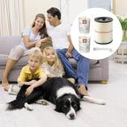 MZY LLC 1 Pack 17816 Filter for Craftsman Shop Vac Filter Cartridge Replacement with 2 Pack CMXZVBE38749 General Purpose Dust Collection Bags for 16 and 20 Gallon Shop Vacuums