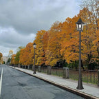 Outdoor Lamp Post Light, Waterproof Outdoor Classic Street Lights with Clear Glass for Backyard, Patio, Garden, Lawn, Pathway, Driveway