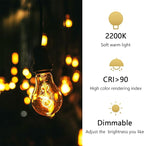 Incandescent Light Bulbs 40W，A19 Vintage Style Edison Light Bulb, 240 Lumen Dimmable 120V E26 Base Amber Glass Retro Bulb Old Fashioned, Squirrel Cage 2200K Warm Yellow Decorative Lamp, 6 Pack