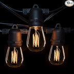 Hometown Evolution, Inc. E26 Commercial String Lights with 16 Gauge Wire (24 Foot 12 Socket, S14 Lantern Edison 11 Watt Bulbs)