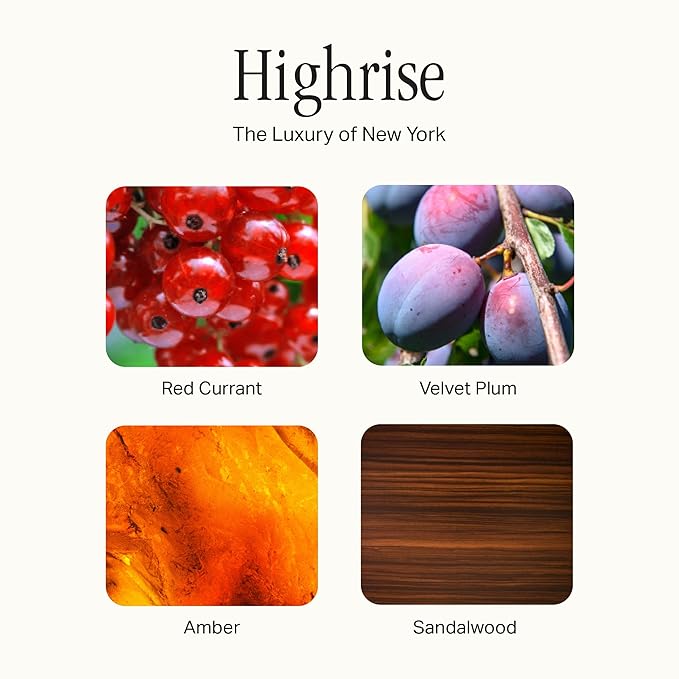 Preston Lane Luxury All-Purpose Cleaner, Highrise Scent | Bio-Based Multi-Surface Spray | Streak-Free Finish, Lifts Dirt, Smudges & Grease | Vegan & Cruelty-Free