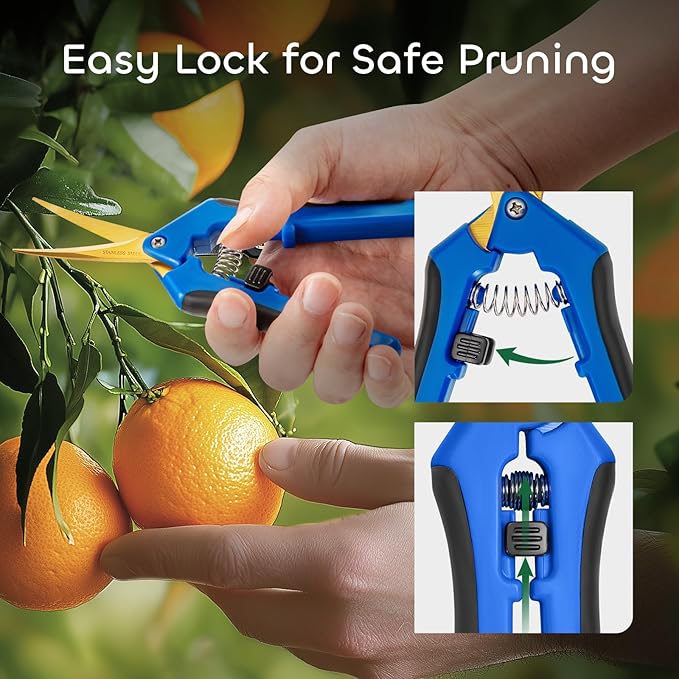 GROWNEER 3 Packs 6.5 Inch Pruning Shears with Curved Blades Trimming Scissors For Gardening Hand Pruning Snips Titanium Coated Precision Blades