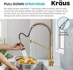 Kraus Bolden 2-in-1 Pull-Down Single Handle Kitchen Sink Filter Water Faucet for Reverse Osmosis or Water Filtration System in Brushed Brass, KFF-1610BB