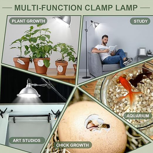 Macarrie 8 Pack Clamp Lamp Light with Aluminum Reflector, 6ft SPT-2 18awg Cord and Adjustable Stand Fixture, up to 150 Watt, E26 Socket, No Bulb(5.5 Inch)