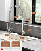 Fapully Kitchen Faucet with Pull Down Sprayer,Commercial Kitchen Sink Faucet with Deck Plate,Brushed Nickel