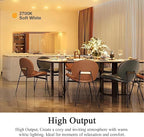 Par30 39W Long Neck Halogen Flood Light Bulbs 6pcs, 120V 2700K Warm White Dimmable High Brightness, E26 Base, Great for Accent Lighting, Tracking Light, Recessed Light Bulb