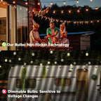 GOOTHY G40 Replacement Bulbs, 120V 5W Incandescent Light Bulbs, E12 Candelabra Base, 1.5 Inch Clear Globe Replacement Light Bulbs for Indoor Outdoor String Lights, Warm White -25 Pack