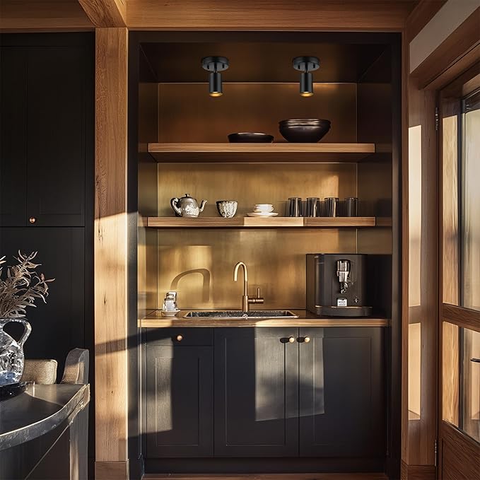 GLOBE Electric 57498 Pratt 1-Light Track Lighting Spotlight, Matte Black, Bulb Not Included