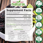 Why Not Natural Liquid Iron Supplement for Women, Men and Kids, Vegan Formulation for Anemia, Sugar Free, Vegan, Non-GMO, Gluten Free, Organic BlackBerry Flavor 16 Fl Oz