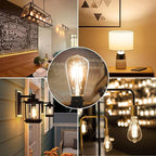 24-Pack Vintage LED Edison Bulbs 60 Watt Equivalent Dimmable 7W ST58 LED Filament Light Bulbs Warm White 3000K Antique Style Lighting High Brightness 800LM E26 Medium Base Clear Glass for Home Office