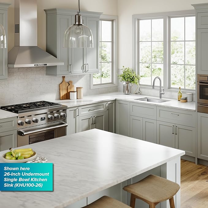 KRAUS Standard PRO 23-Inch 16 Gauge Undermount Single Bowl Stainless Steel Kitchen Sink, KHU101-23