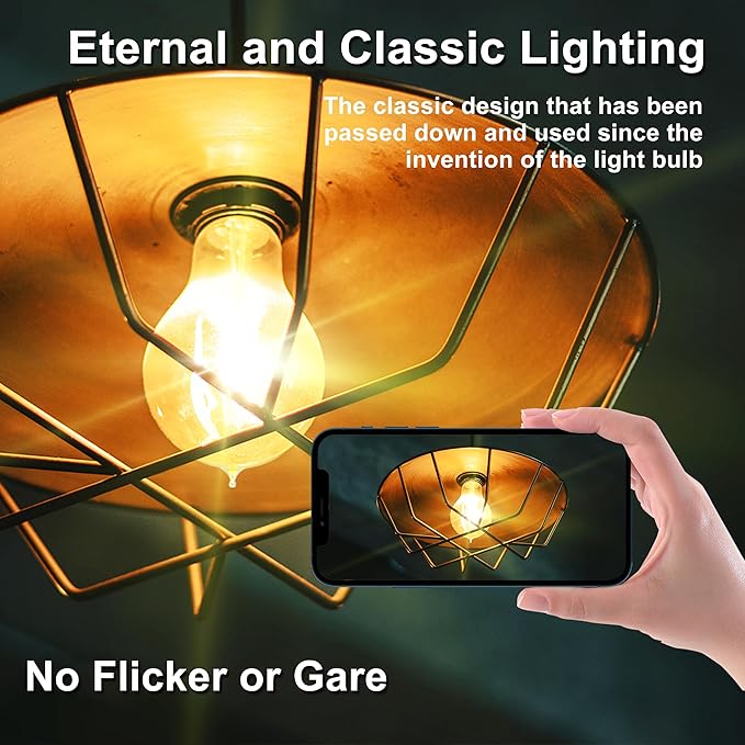 Warm Incandescent Light Bulbs 60 Watt,A19/A60 Vintage Style Edison Bulbs E26,Soft Yellow Light Bulbs,Amber Bulbs,Retro Light Bulb Old Fashioned,Halogen Dimmable Edison Bulb Squirrel Cage 12 Pack
