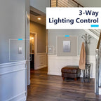 LIDER Dimmer Paddle Switch for Dimmable 300W LED/CFL Lights, 1-Pole or 3-Way, 120 V, Modern Upgrade, UL Listed, Screwless Wall Plate Included, Silver