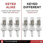 TRADESAFE Lockout Tagout Locks Set - 10 Silver Aluminum Loto Locks, Lock Out Tag Out Padlocks Keyed Alike, 2 Keys Per Lockout Padlock, OSHA Compliant