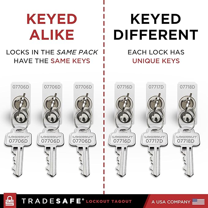 TRADESAFE Lockout Tagout Locks Set - 10 Silver Aluminum Loto Locks, Keyed Different Lock Out Tag Out Padlocks, 2 Keys Per Lockout Padlock, OSHA Compliant