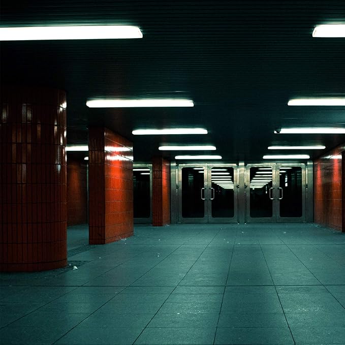 Dysmio Lighting F32T8-DL 32-Watt - 48 Inch T8 Straight Tube, Medium Bi-Pin Base, 6500K - Daylight Pack of 8