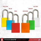 TRADESAFE Lockout Tagout Locks Set - 10 Blue Aluminum Loto Locks, Keyed Different Lock Out Tag Out Padlocks, 2 Keys Per Lockout Padlock, OSHA Compliant