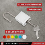 TRADESAFE Lockout Tagout Locks Set - 10 Silver Aluminum Loto Locks, Lock Out Tag Out Padlocks Keyed Alike, 2 Keys Per Lockout Padlock, OSHA Compliant