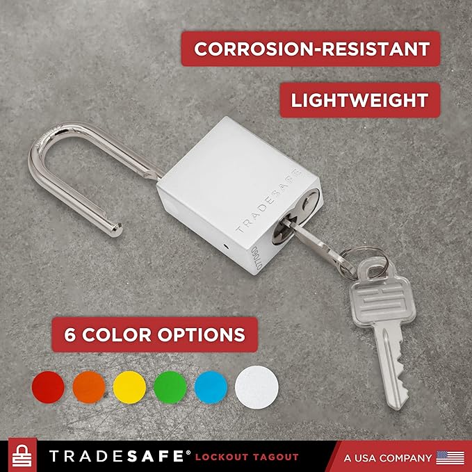 TRADESAFE Lockout Tagout Locks Set - 10 Silver Aluminum Loto Locks, Keyed Different Lock Out Tag Out Padlocks, 2 Keys Per Lockout Padlock, OSHA Compliant
