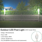 LIT-PaTH LED Outdoor Post Lighting Fixture, Pole Lantern, 9.5W 800 Lumens, 5000K Daylight White, Aluminum Housing Plus Glass, Matte White Finish, 1-Pack