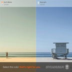 SYLVANIA LED TruWave Natural Series Light Bulb, 60W Equivalent, Efficient 8W A19, Medium Base, Dimmable, 800 Lumens, 2700K, Soft White, Clear - 6 Count (Pack of 1) (40806)