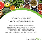 NaturesPlus Cal/Mag - 500 mg Calcium, 250 mg Magnesium, 180 Vegetarian Capsules - Gluten-Free - 90 Servings