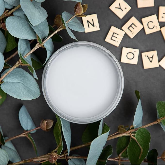 Dixie Belle Paint Company Chalk Finish Furniture Paint - Manatee Gray (4oz) - Matte Light Gray Chic Chalk Mineral DIY Furniture Paint