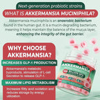 Akkermansia Probiotics Gummies with Prebiotics Fiber, 300 Billion AFU Akkermansia Muciniphila, with Polyphenol Fruits, Resistant Starch, Vitamin A D3 B2 for Metabolism, Digestive & Gut Health, 1Pack