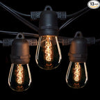 Hometown Evolution, Inc. E26 Commercial String Lights with 16 Gauge Wire (24 Foot 12 Socket, S14 Zig Zag Edison 11 Watt Bulbs)