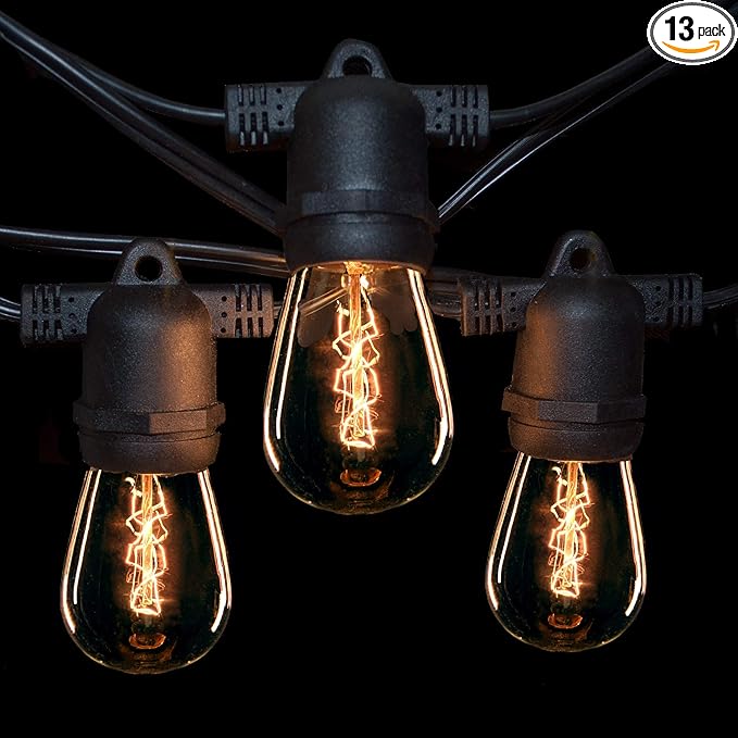 Hometown Evolution, Inc. E26 Commercial String Lights with 16 Gauge Wire (24 Foot 12 Socket, S14 Zig Zag Edison 11 Watt Bulbs)