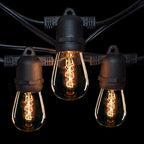 Hometown Evolution, Inc. 100' E26 Commercial Edison Bulb Outdoor String Lights (100 Foot 50 Socket, S14 Zig Zag Edison 11 Watt Light Bulbs)
