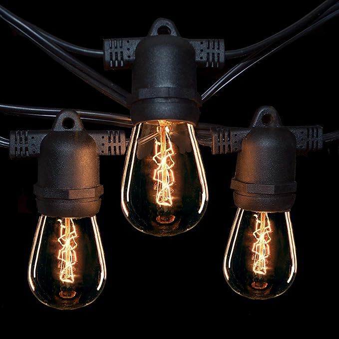 Hometown Evolution, Inc. 100' E26 Commercial Edison Bulb Outdoor String Lights (100 Foot 50 Socket, S14 Zig Zag Edison 11 Watt Light Bulbs)
