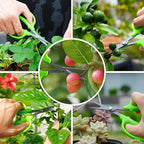 Garden Scissors, 6in Pruning Shears Snips Non-stick Coated Sharp Steel Blades - Gardening Tools Garden Shears for Plants Herb Flowers in Grow Tent and Hydroponics, Curved Blade