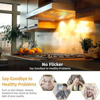 Par20 Halogen Flood Light Bulb, 50W 120V PAR20 Light Bulb, Dimmable, E26 Base, 2700K Warm White, 3000 Hours for Indoor Range Hood, Track Oven, Ceiling Can Lamp（6Pack）