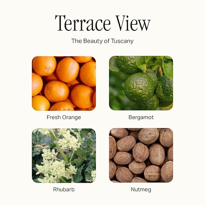 Preston Lane Luxury All-Purpose Cleaner, Terrace View Scent – Bio-Based Multi-Surface Spray | Streak-Free Finish, Lifts Dirt, Smudges & Grease | Vegan & Cruelty-Free