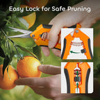 GROWNEER 3 Packs 6.5 Inch Pruning Shears Gardening Hand Pruning Snips Gardening Scissors with Straight Stainless Steel Precision Blades