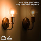 OHLECTRIC G16.5 Incandescent Globe Bulb (4-Pack) Decorative Light Bulb, 25 Watt, E12 Candelabra Base, Dimmable, 2700K Warm White, Clear Bulb, 232 Lumens. 120 Volt, Decorative G16½ Clear Light Bulbs