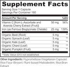 NATURELO Vegan Iron Supplement with Vitamin C and Organic Whole Foods - Gentle Iron Pills for Women & Men with Iron Deficiency Including Pregnancy, Anemia and Vegan Diets - 180 Mini Capsules